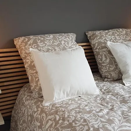 Quartier Historique 100m Wifi