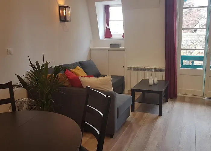 Quartier Historique 100m Wifi *