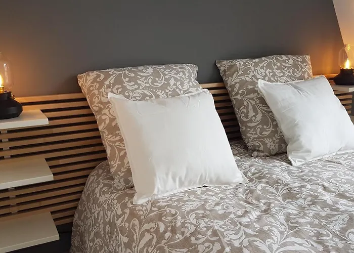 Quartier Historique 100m Wifi